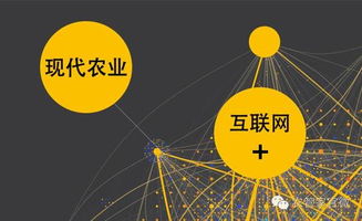 惊呆了！互联网将为三农带来这些惊人发展，技术服务正在改变中国农村